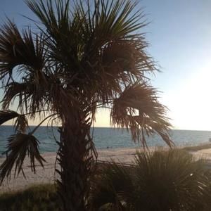 Meet your Posher, Carol